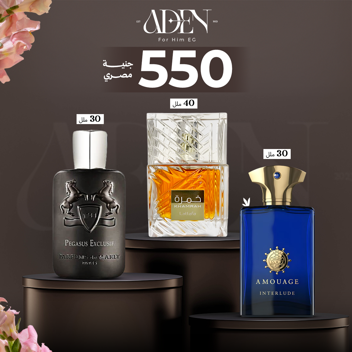 امواج ٣٠+ دالينا ديمارلي٣٠+خمره٤٠