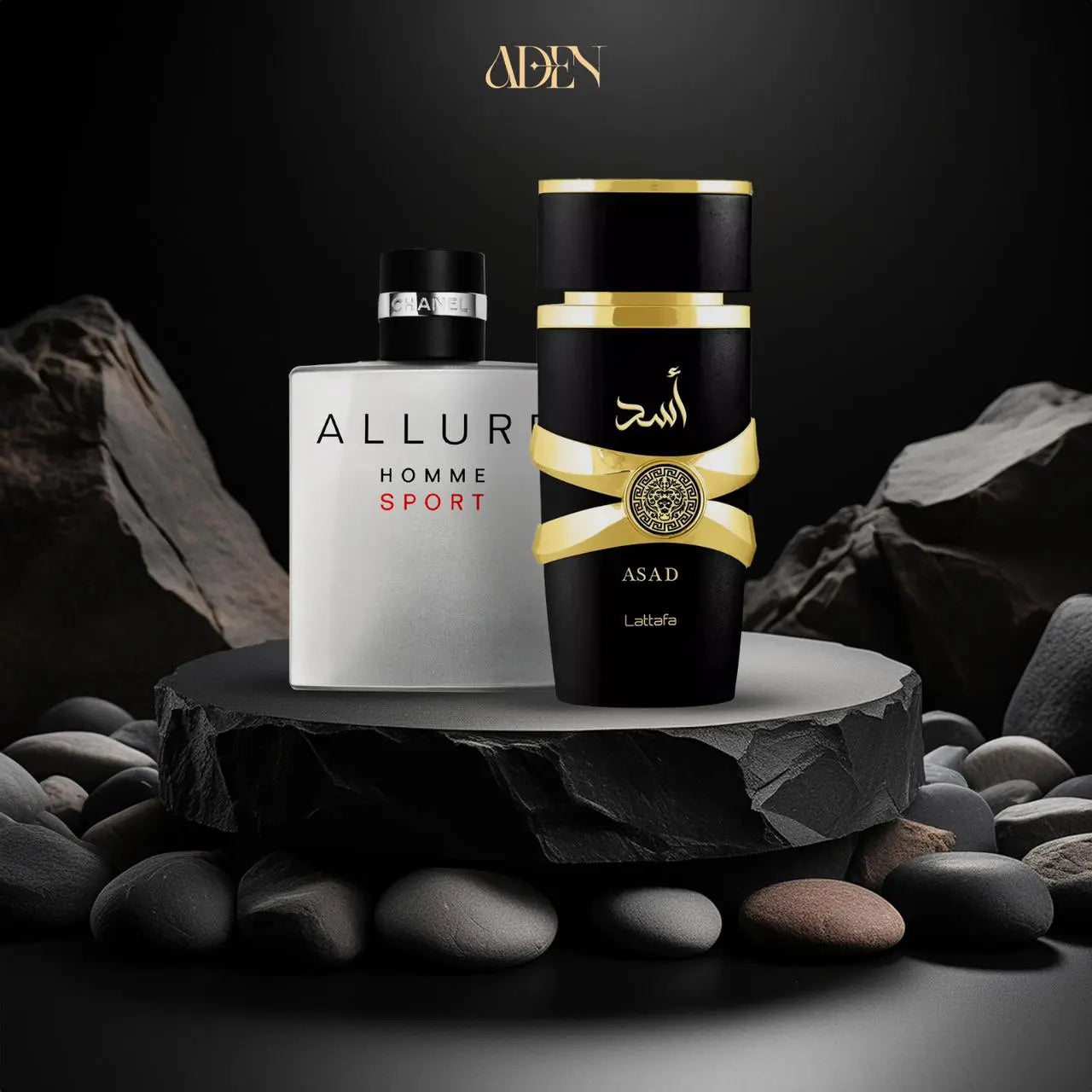 عرض اسد من لطافه + اللور هوم سبورت ADEN MEN